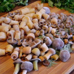Jak zrobić sos grzybowy z mrożonych grzybów?